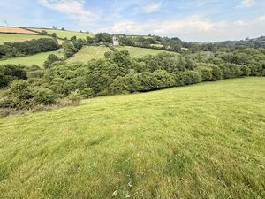  Trewidland
